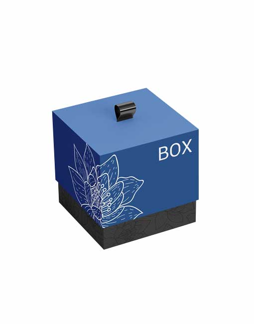 watch-boxes